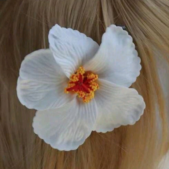 Hibiscus hair clips