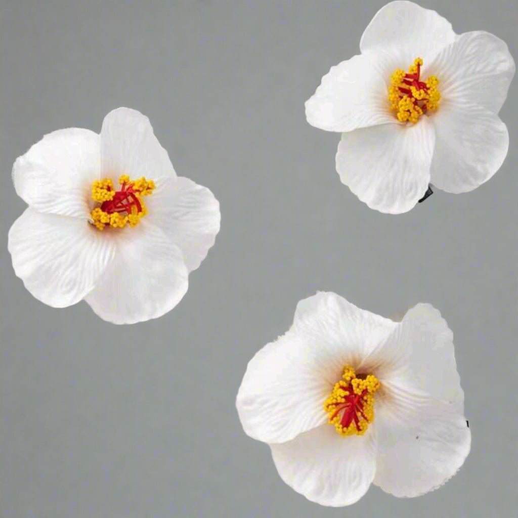Hibiscus hair clips